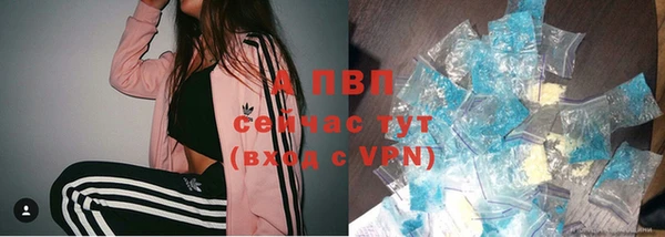 винт Болотное