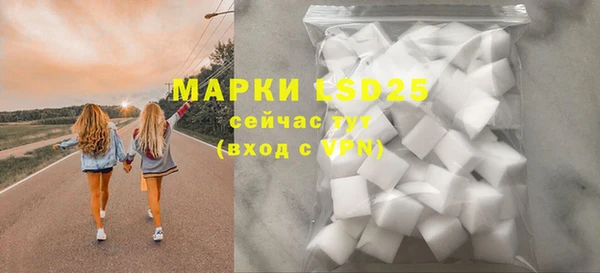 мяу мяу мука Аркадак
