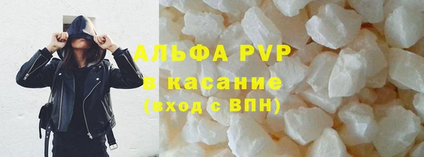 мяу мяу мука Аркадак