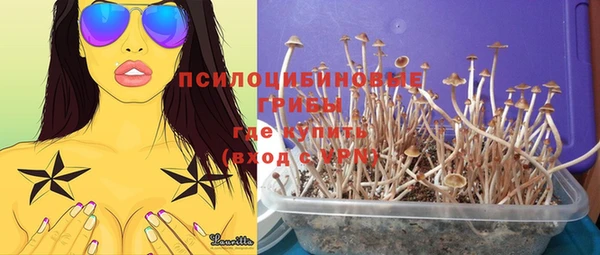 трава Переславль-Залесский