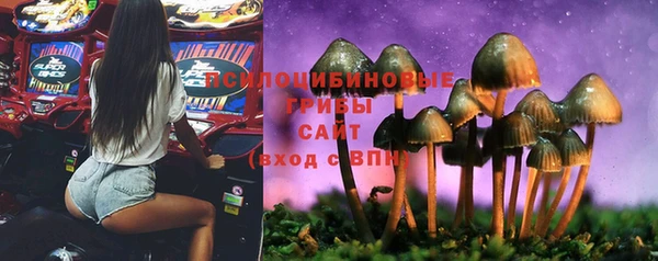 мяу мяу мука Аркадак