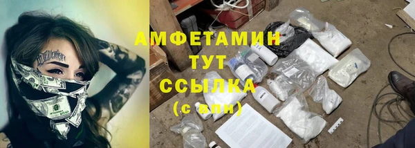 мяу мяу мука Аркадак