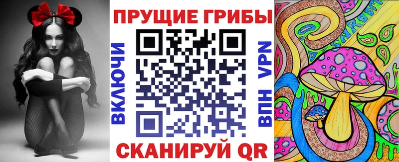 omg tor  Аша  Псилоцибиновые грибы Magic Shrooms  наркота 